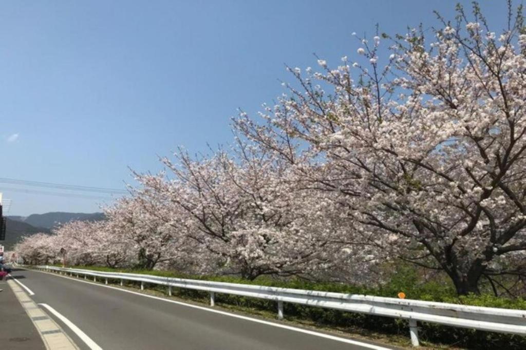 Business Hotel Kawakami Kumano Zewnętrze zdjęcie